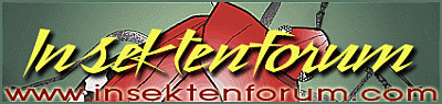 Insektenforum